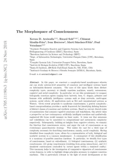 The Morphospace of Consciousness