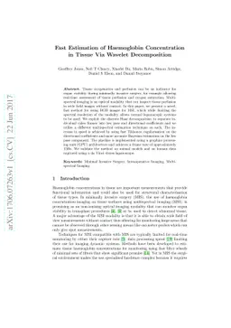 Fast Estimation of Haemoglobin Concentration in Tissue Via Wavelet
  Decomposition
