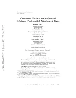 Consistent Estimation in General Sublinear Preferential Attachment Trees
