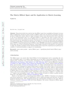 The Matrix Hilbert Space and Its Application to Matrix Learning