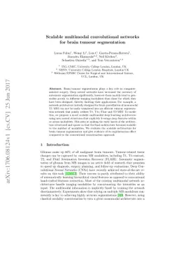 Scalable multimodal convolutional networks for brain tumour segmentation
