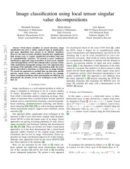 Image classification using local tensor singular value decompositions