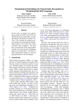Morphological Embeddings for Named Entity Recognition in Morphologically
  Rich Languages