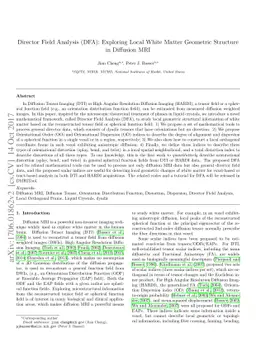 Director Field Analysis (DFA): Exploring Local White Matter Geometric
  Structure in diffusion MRI