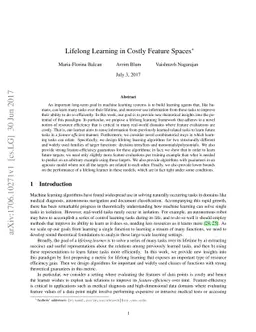 Lifelong Learning in Costly Feature Spaces