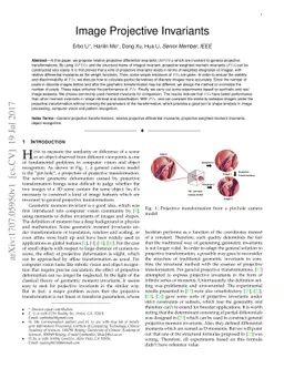 Image Projective Invariants