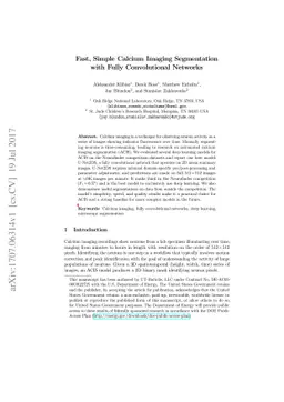 Fast, Simple Calcium Imaging Segmentation with Fully Convolutional
  Networks
