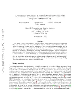 Appearance invariance in convolutional networks with neighborhood
  similarity