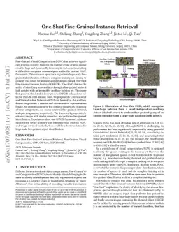 One-Shot Fine-Grained Instance Retrieval
