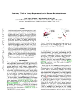 Learning Efficient Image Representation for Person Re-Identification