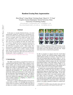 Random Erasing Data Augmentation