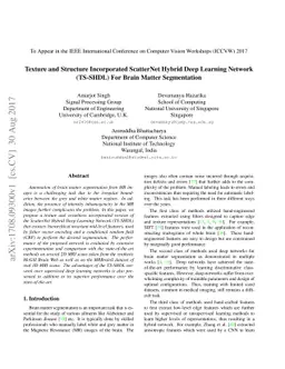 Texture and Structure Incorporated ScatterNet Hybrid Deep Learning
  Network (TS-SHDL) For Brain Matter Segmentation