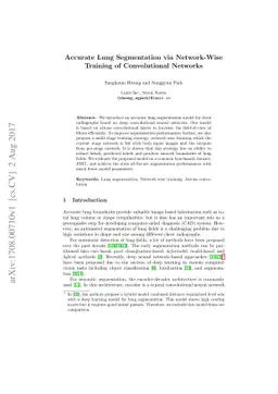 Accurate Lung Segmentation via Network-Wise Training of Convolutional
  Networks