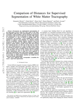 Comparison of Distances for Supervised Segmentation of White Matter
  Tractography