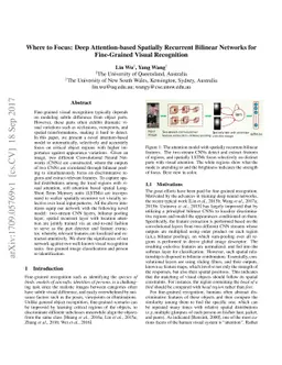 Where to Focus: Deep Attention-based Spatially Recurrent Bilinear
  Networks for Fine-Grained Visual Recognition