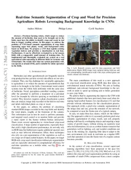 Real-time Semantic Segmentation of Crop and Weed for Precision
  Agriculture Robots Leveraging Background Knowledge in CNNs