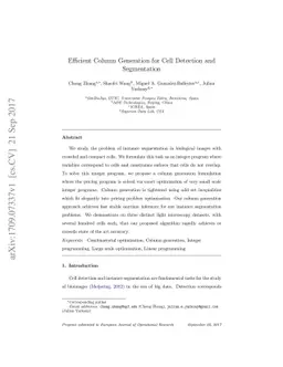 Efficient Column Generation for Cell Detection and Segmentation