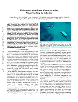 Underwater Multi-Robot Convoying using Visual Tracking by Detection