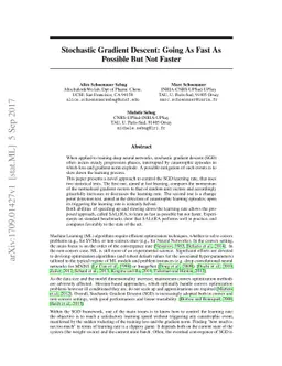 Stochastic Gradient Descent: Going As Fast As Possible But Not Faster