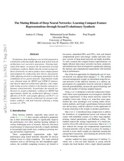 The Mating Rituals of Deep Neural Networks: Learning Compact Feature
  Representations through Sexual Evolutionary Synthesis