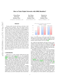 How to Train Triplet Networks with 100K Identities?