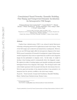 Convolutional Neural Networks: Ensemble Modeling, Fine-Tuning and
  Unsupervised Semantic Localization for Intraoperative CLE Images