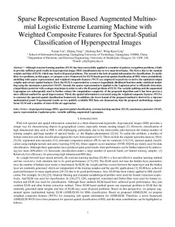 Sparse Representation Based Augmented Multinomial Logistic Extreme
  Learning Machine with Weighted Composite Features for Spectral Spatial
  Hyperspectral Image Classification