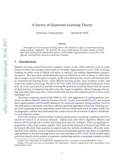 A Survey of Quantum Learning Theory