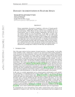 Dataset Augmentation in Feature Space