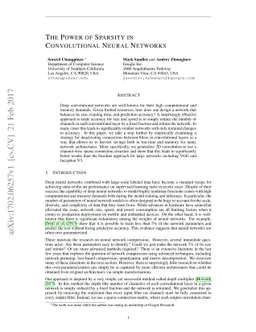 The Power of Sparsity in Convolutional Neural Networks