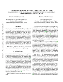 Convolutional Neural Network Committees for Melanoma Classification with
  Classical And Expert Knowledge Based Image Transforms Data Augmentation