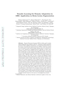 Transfer Learning for Domain Adaptation in MRI: Application in Brain
  Lesion Segmentation
