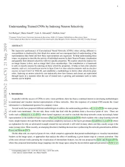 Understanding trained CNNs by indexing neuron selectivity