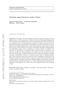 Tracking using Numerous Anchor points