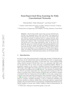 Semi-Supervised Deep Learning for Fully Convolutional Networks