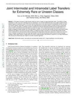 Joint Intermodal and Intramodal Label Transfers for Extremely Rare or
  Unseen Classes