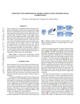 Efficient Two-Dimensional Sparse Coding Using Tensor-Linear Combination
