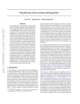 Deep Bayesian Active Learning with Image Data