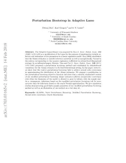Perturbation Bootstrap in Adaptive Lasso