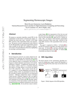 Segmenting Dermoscopic Images