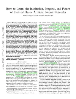 Born to Learn: the Inspiration, Progress, and Future of Evolved Plastic
  Artificial Neural Networks