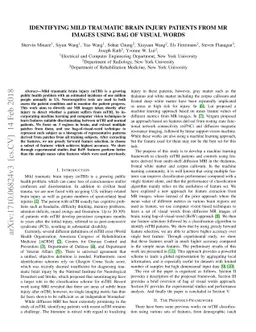 Identifying Mild Traumatic Brain Injury Patients From MR Images Using
  Bag of Visual Words