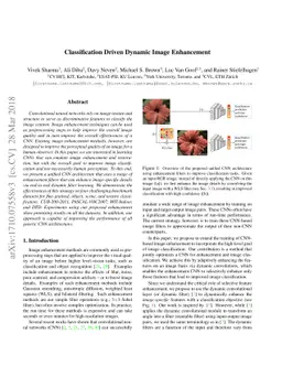 Classification Driven Dynamic Image Enhancement