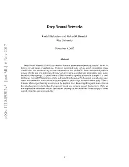 Deep Neural Networks