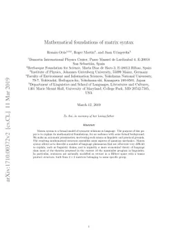 Mathematical foundations of matrix syntax