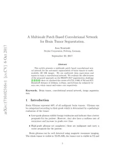 A Multiscale Patch Based Convolutional Network for Brain Tumor
  Segmentation