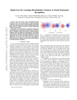 Island Loss for Learning Discriminative Features in Facial Expression
  Recognition
