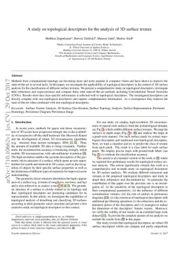 A Study on Topological Descriptors for the Analysis of 3D Surface
  Texture