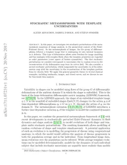Stochastic metamorphosis with template uncertainties