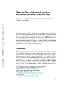 Micro and Macro Pedestrian Dynamics in Counterflow: the Impact of Social
  Groups